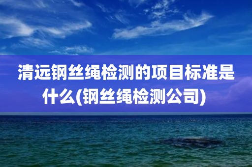 清远钢丝绳检测的项目标准是什么(钢丝绳检测公司) 